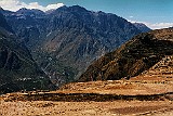 Colca Tal, Peru